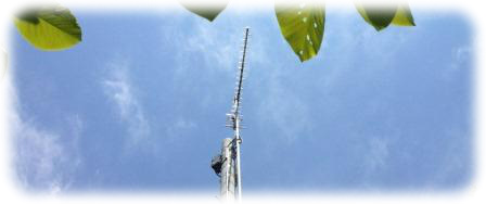antena2.jpg
