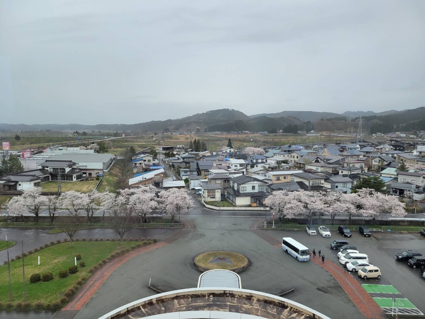 展望台桜