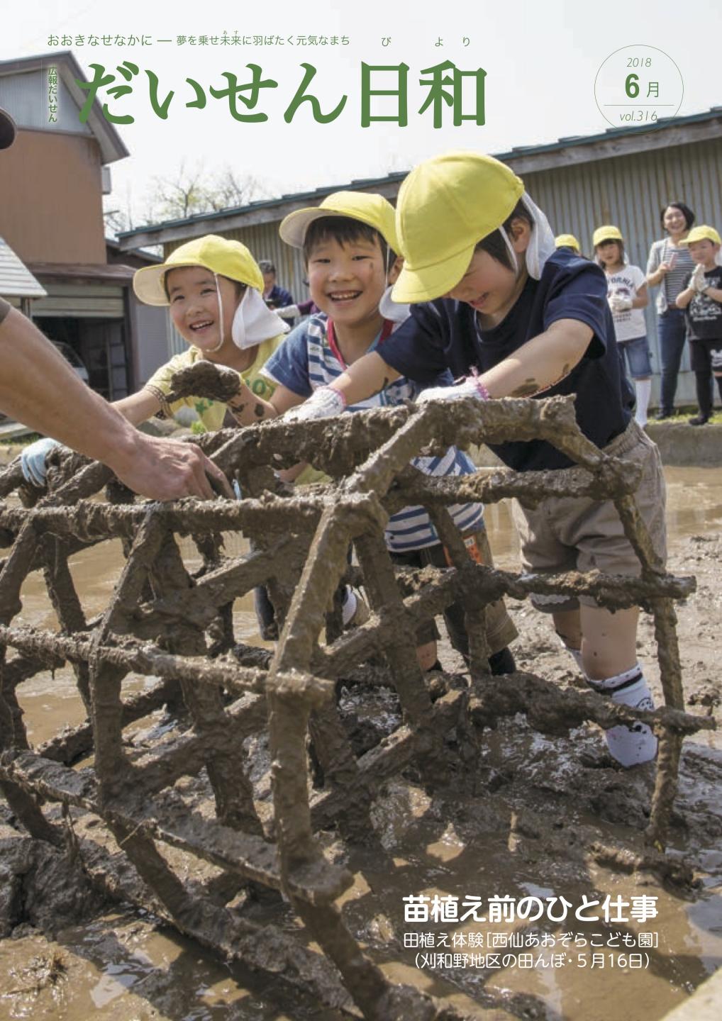 画像:広報だいせん平成30年6月号表紙