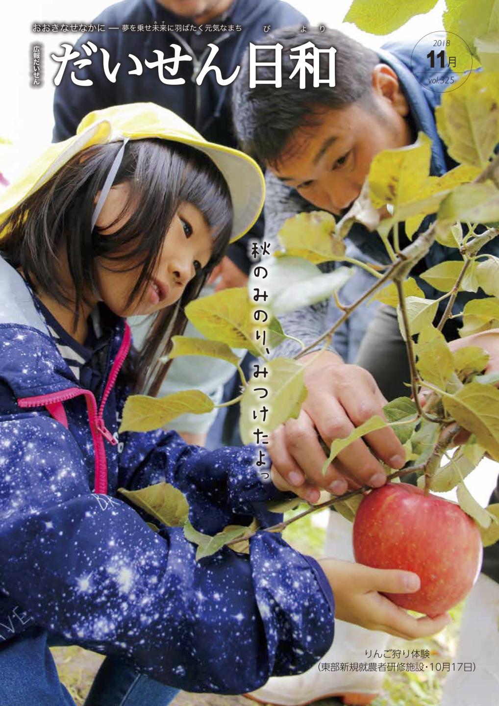 画像:広報だいせん平成30年11月号表紙