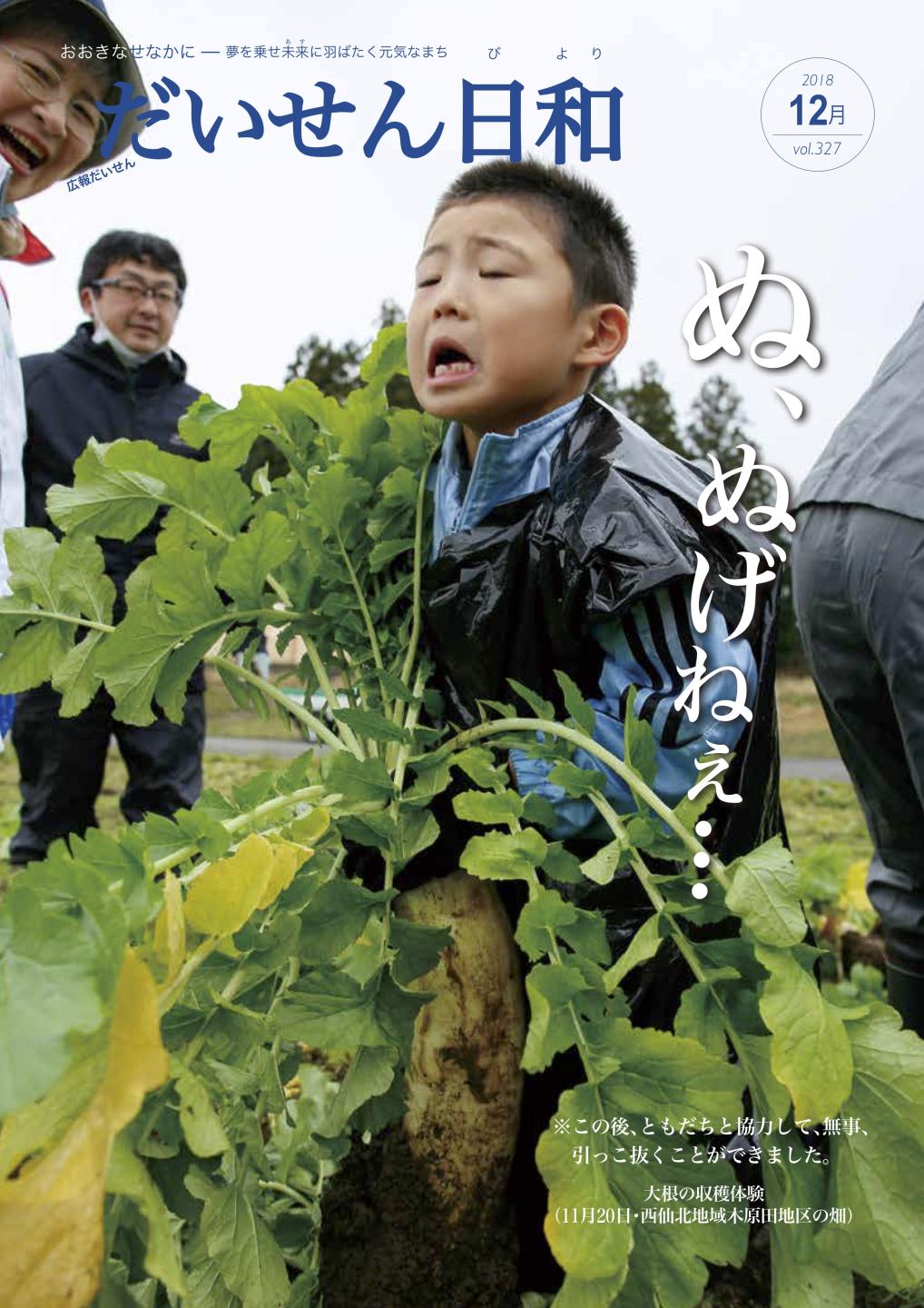 画像:広報だいせん平成30年12月号表紙