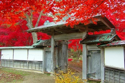 紅葉に囲まれた門、画像をタップすると払田分家についての詳細を紹介するページに移動します