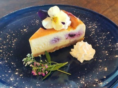皿に盛ったかよたま商店のエディブルフラワーを使った華咲くチーズケーキ