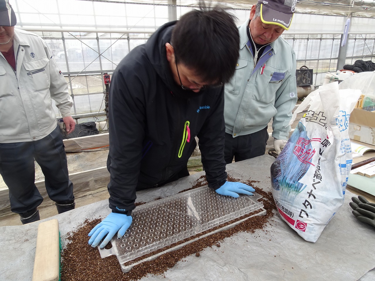 凹凸のある板を使用しで土に凹みを作る研修生