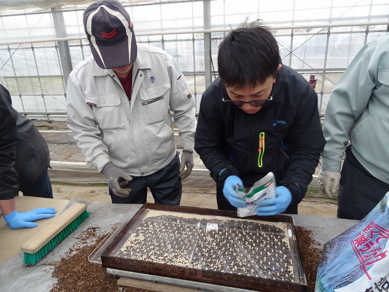 種まき用の板を使用して種子をまく研修生