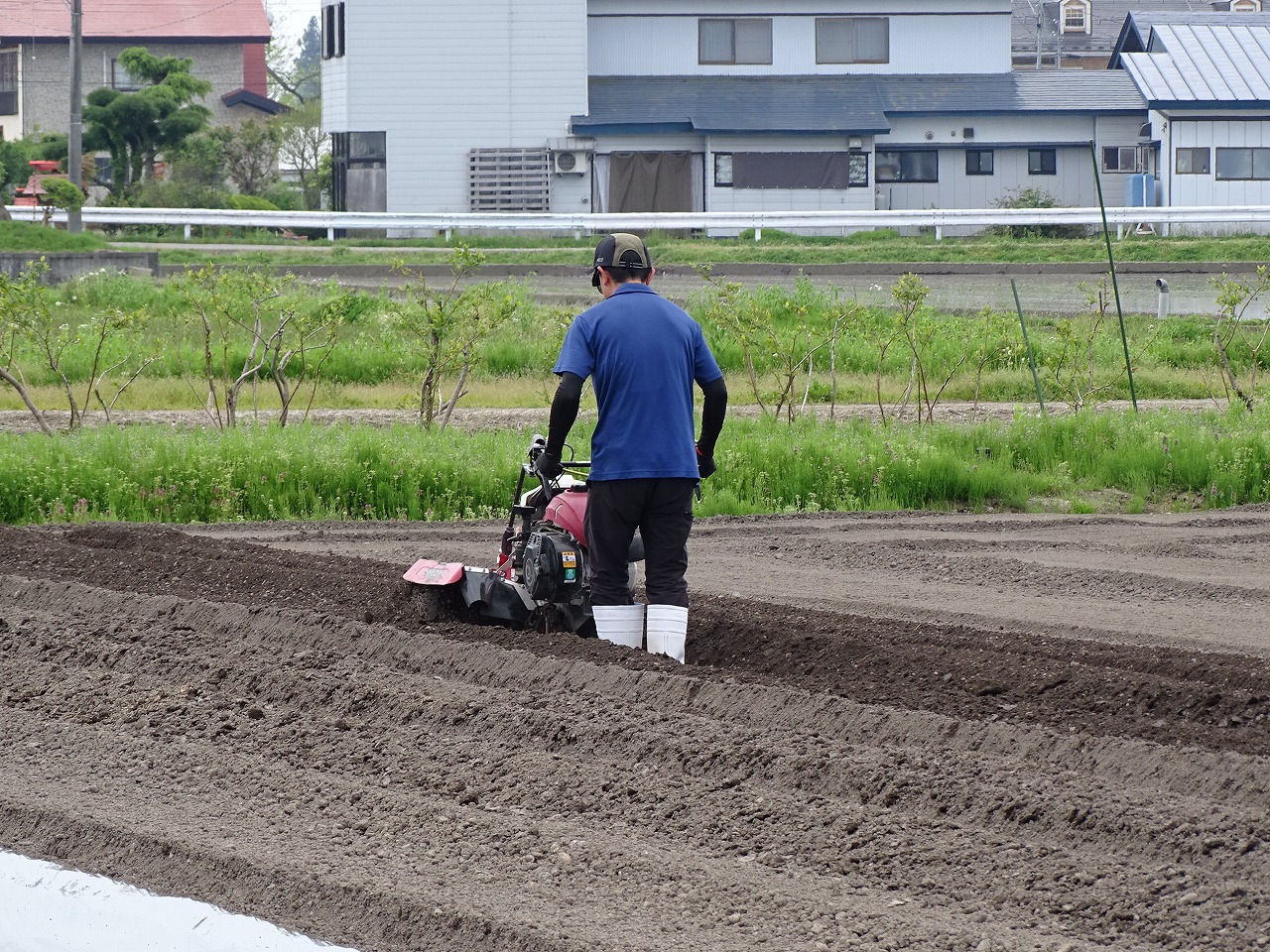 管理機で溝を掘る研修生