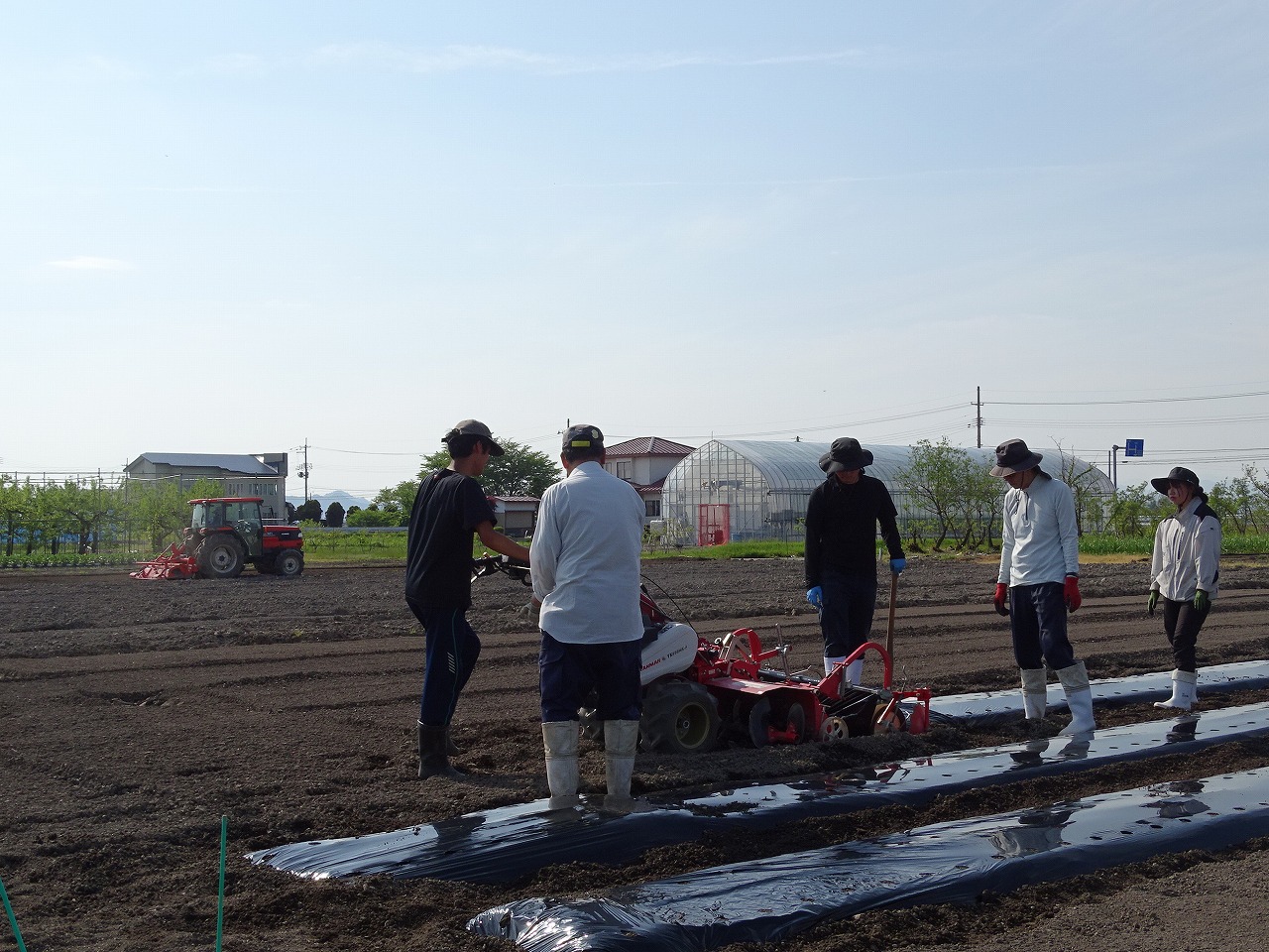 農業機械を使ってマルチをかける研修生