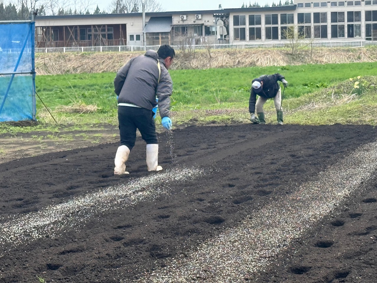 ほ場に肥料をまく研修生