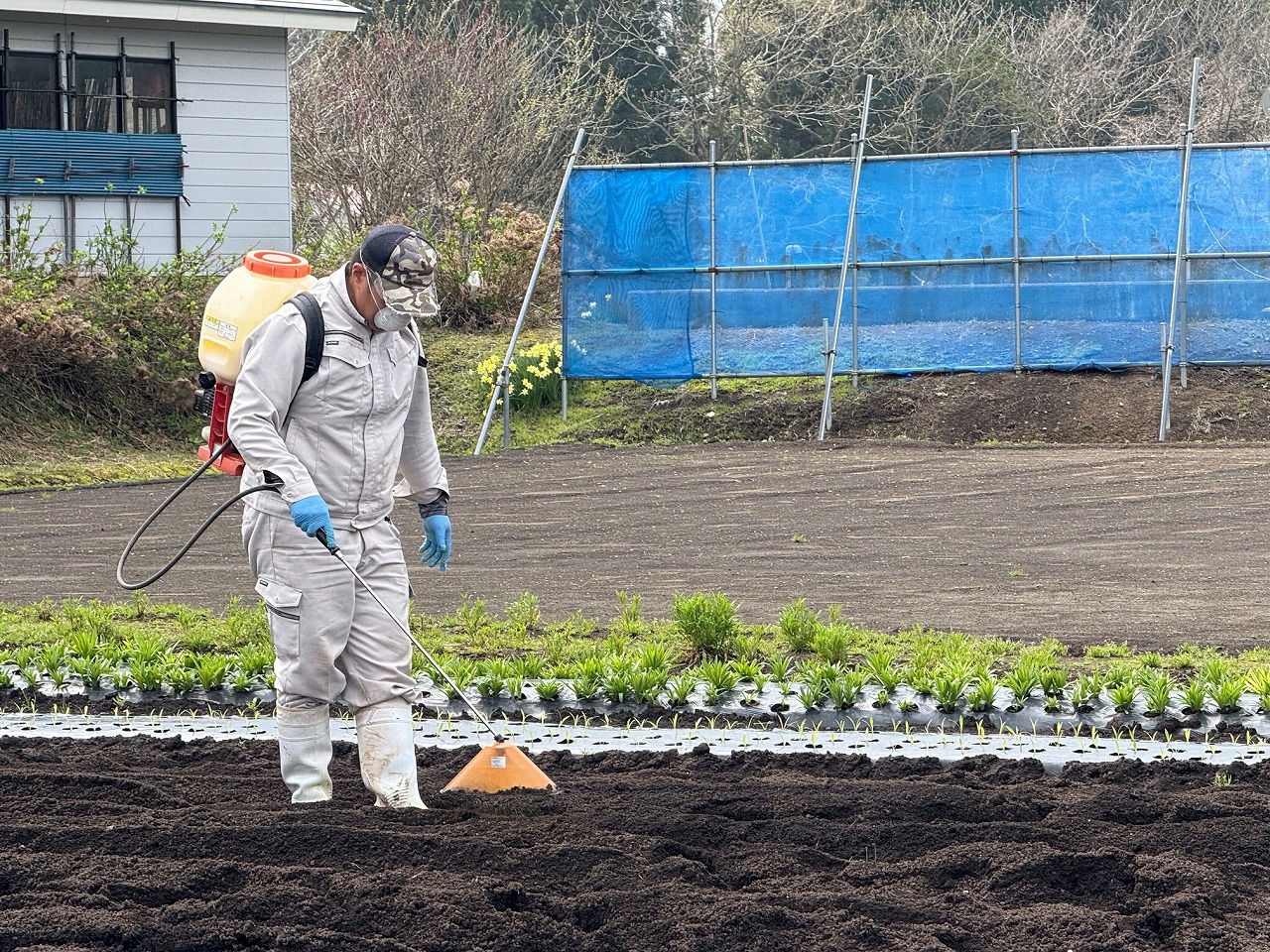 動噴を使ってほ場を消毒する研修生