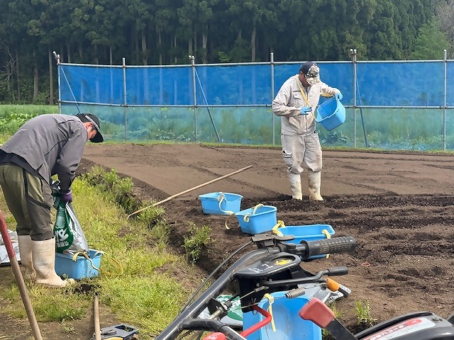 露地のほ場でさぎょうをする研修生