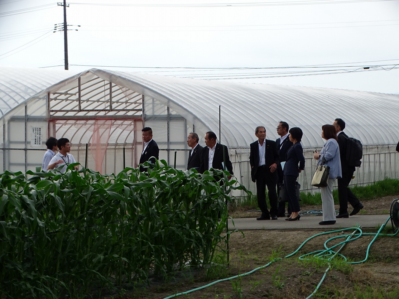 東部研修施設のほ場を視察する産業建設委員