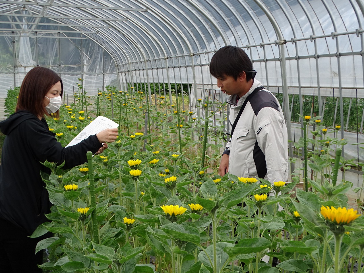 JA担当者に開花について聞く研修生