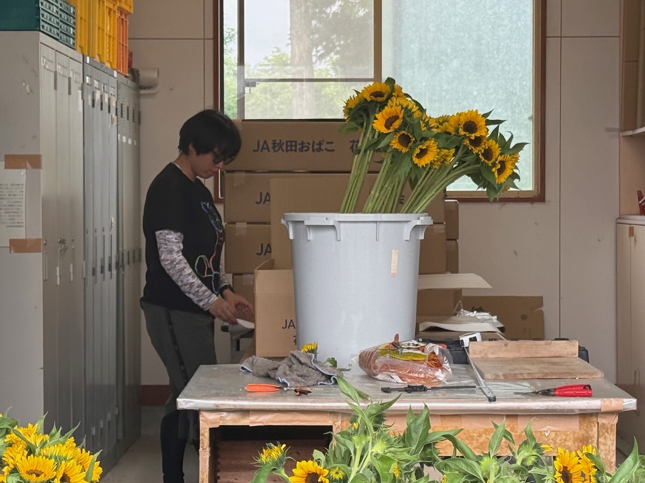 ヒマワリの出荷伝票を記入する研修生
