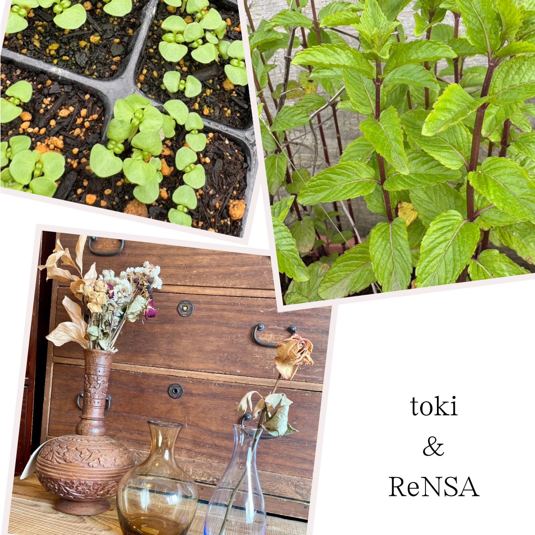 toki&ReNSA