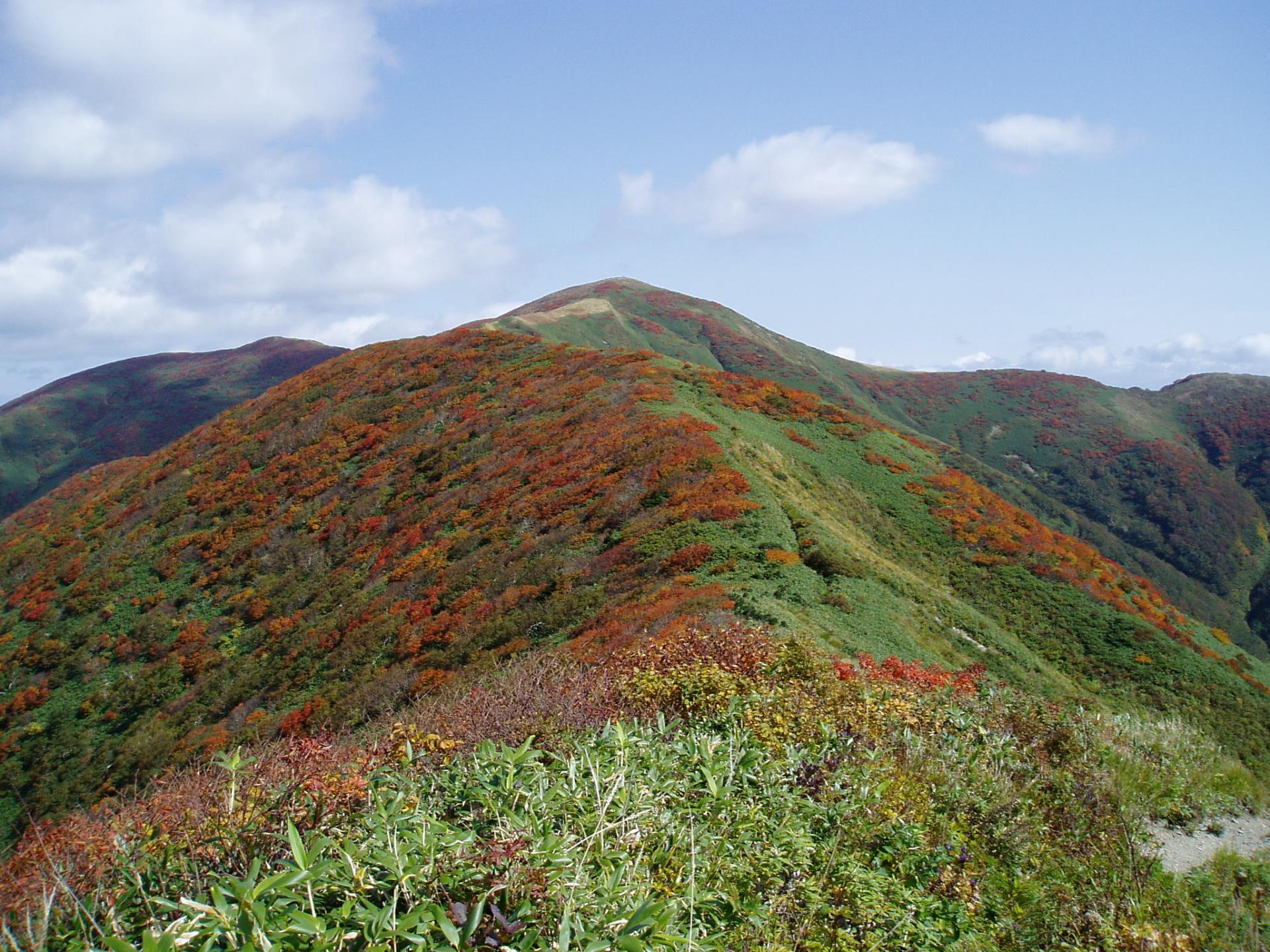 色づきはじめた薬師岳山頂