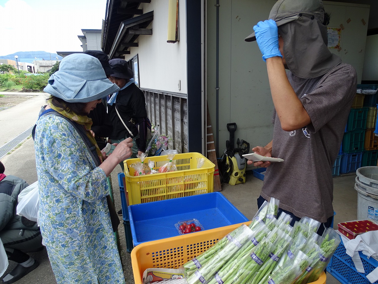 自分が育てた農産物を販売する研修生