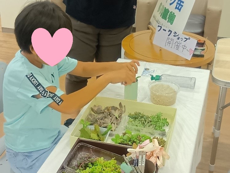 ワークショップの様子、多肉植物を鉢植えしている