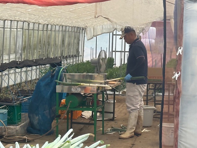 皮むき機を使って皮をむく西部研修生