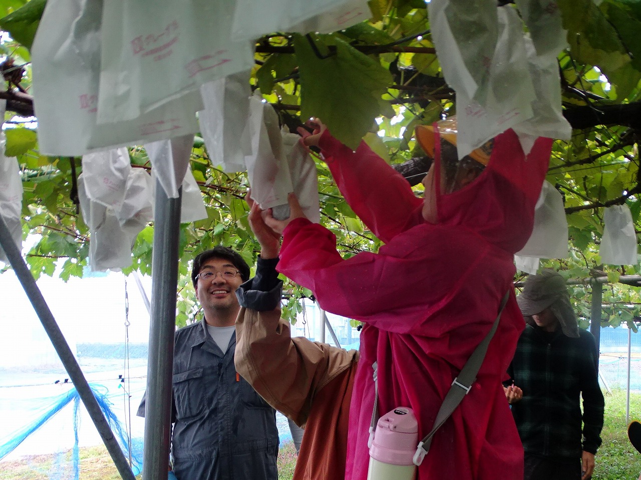 収穫したぶどうを手にする小学生