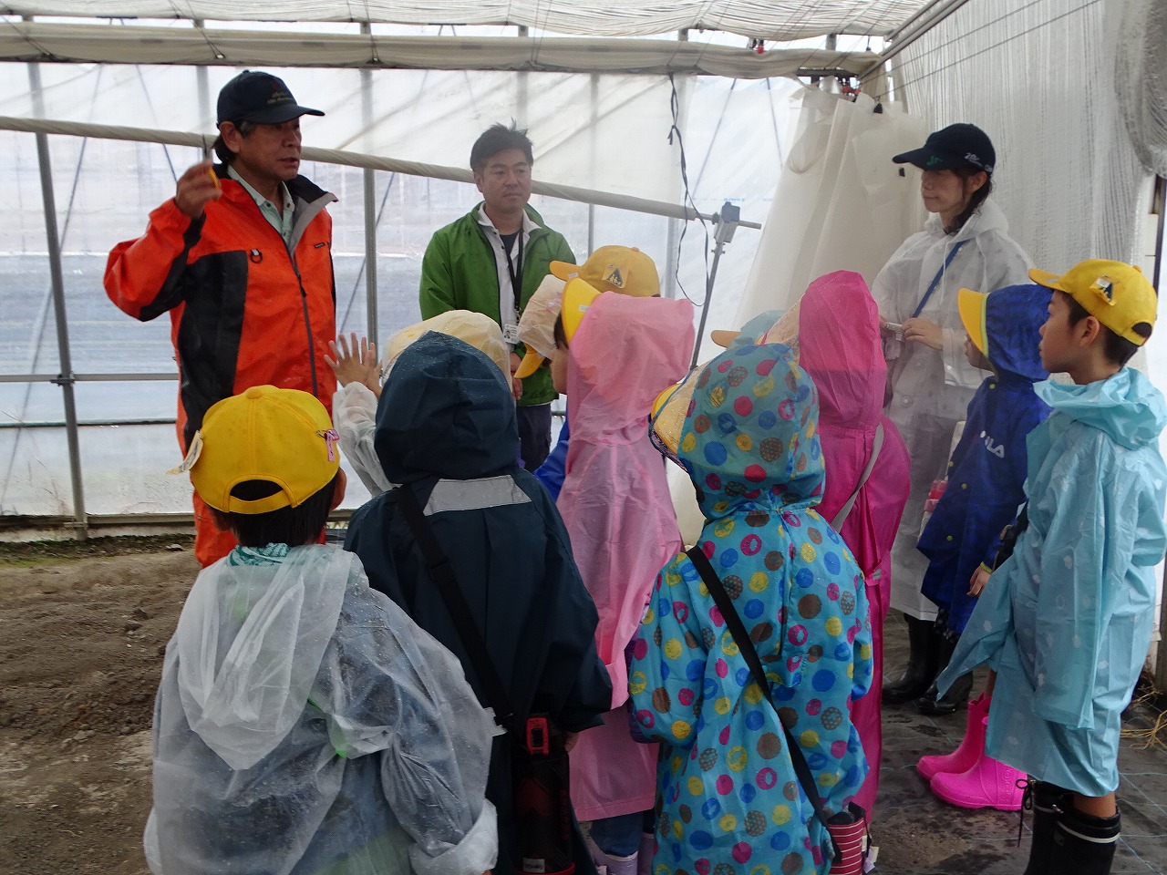 果樹担当の先生から話を聞く小学生