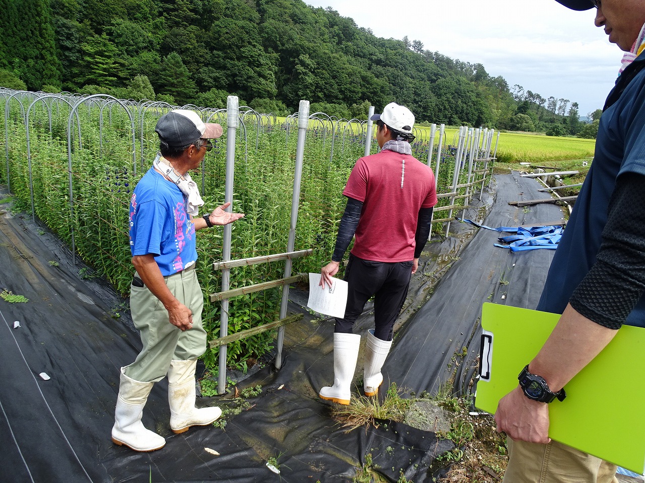 ほ場を見ながら農家の話を聞く研修生