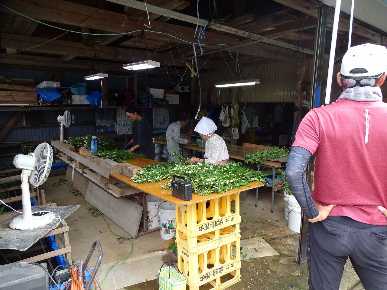 調整施設を見学する研修生
