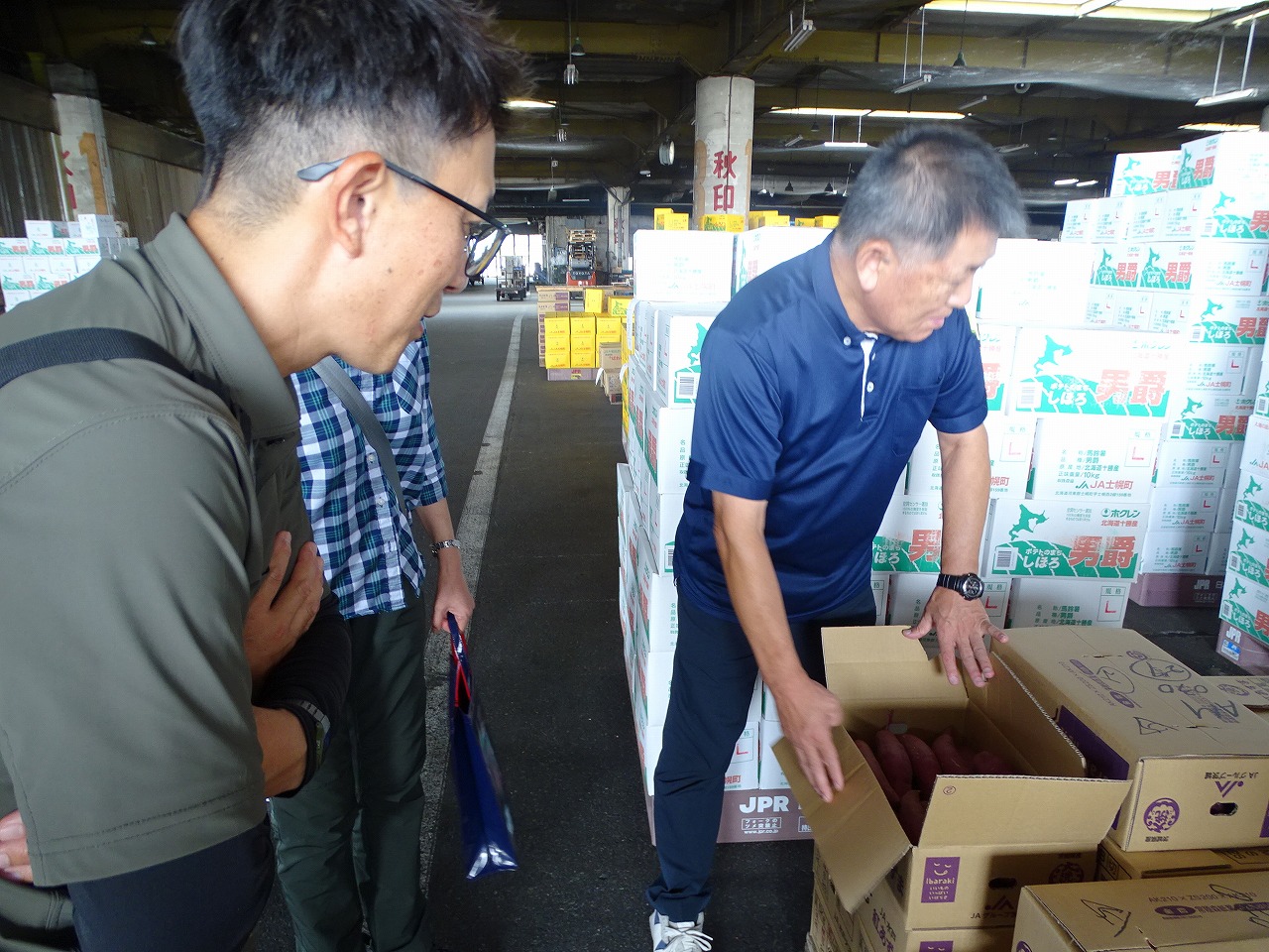 ダンボールに梱包の市場出荷された農作物を確認する研修生