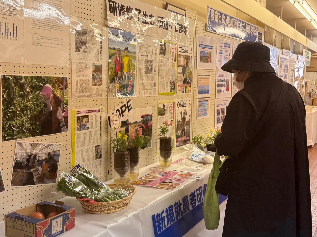 研修修了生の展示物を見る来場者