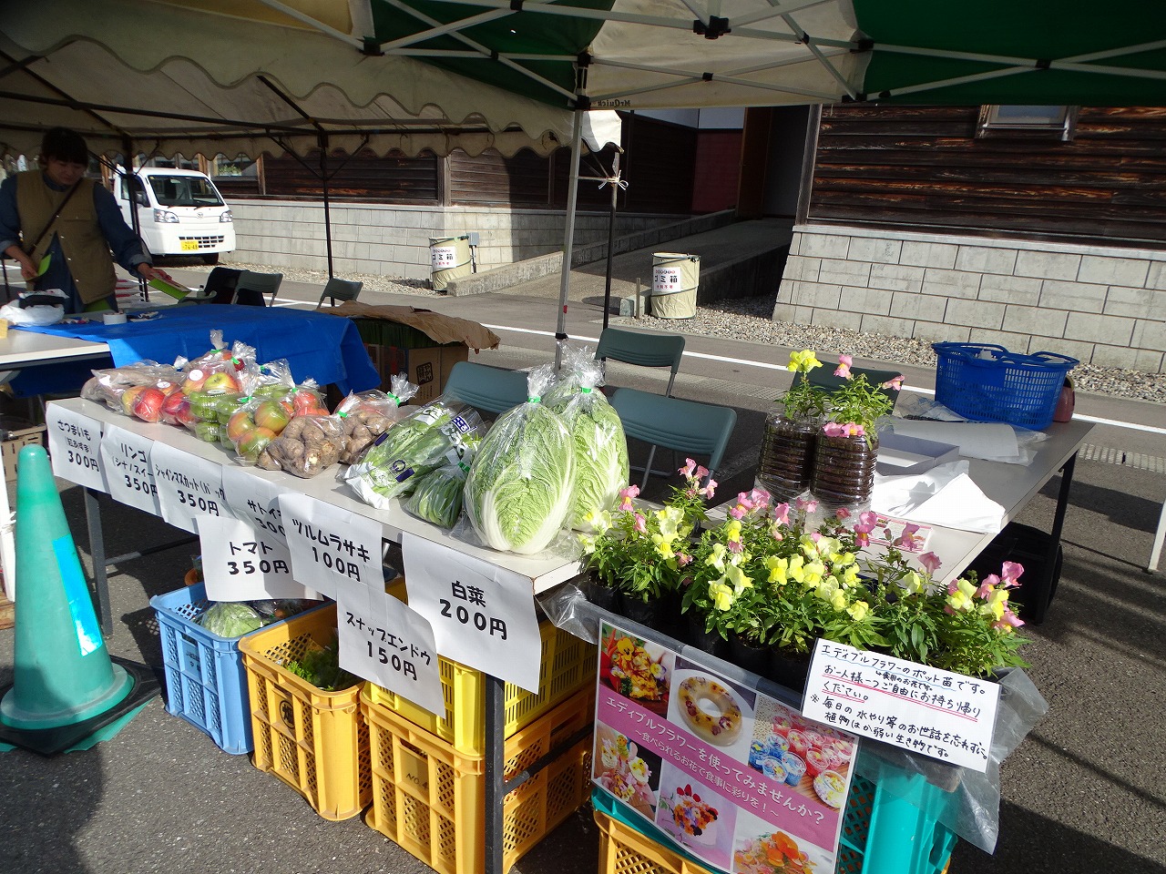 研修生が育てた農作物
