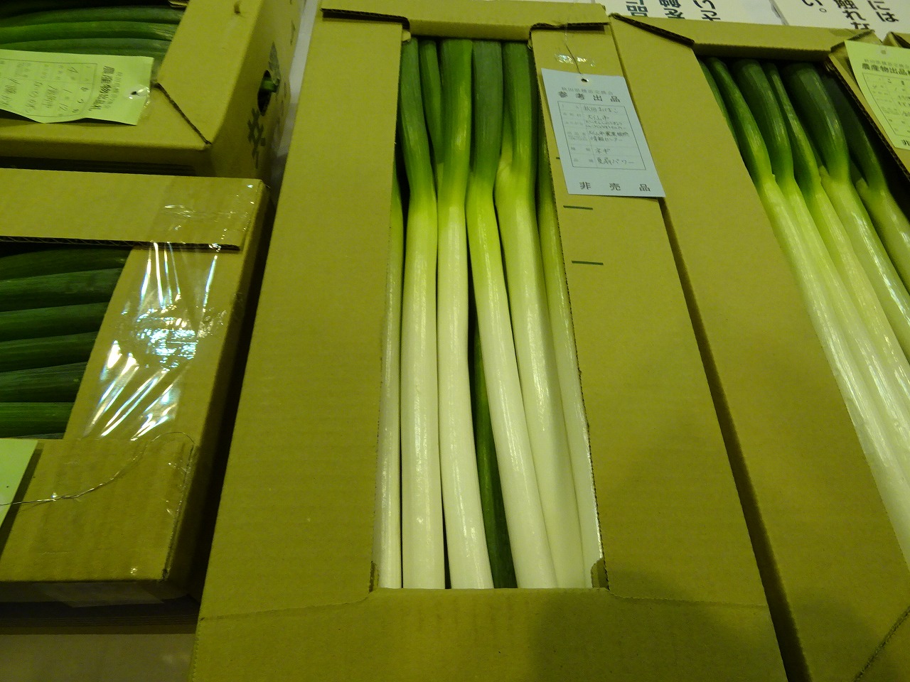 研修生が出品したネギ