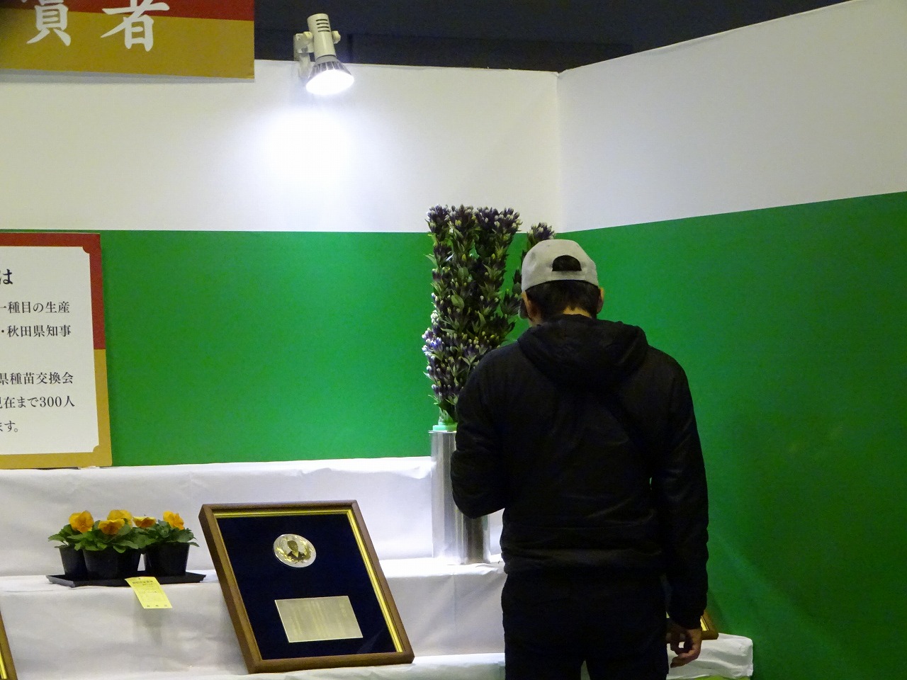 表彰されているリンドウを見る研修生