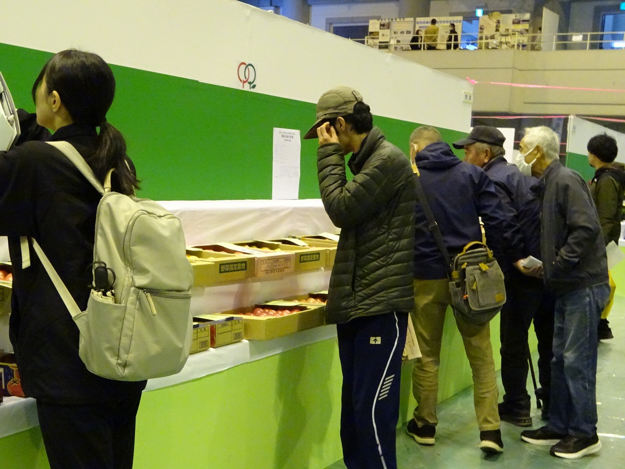 トマトを熱心に見る研修生