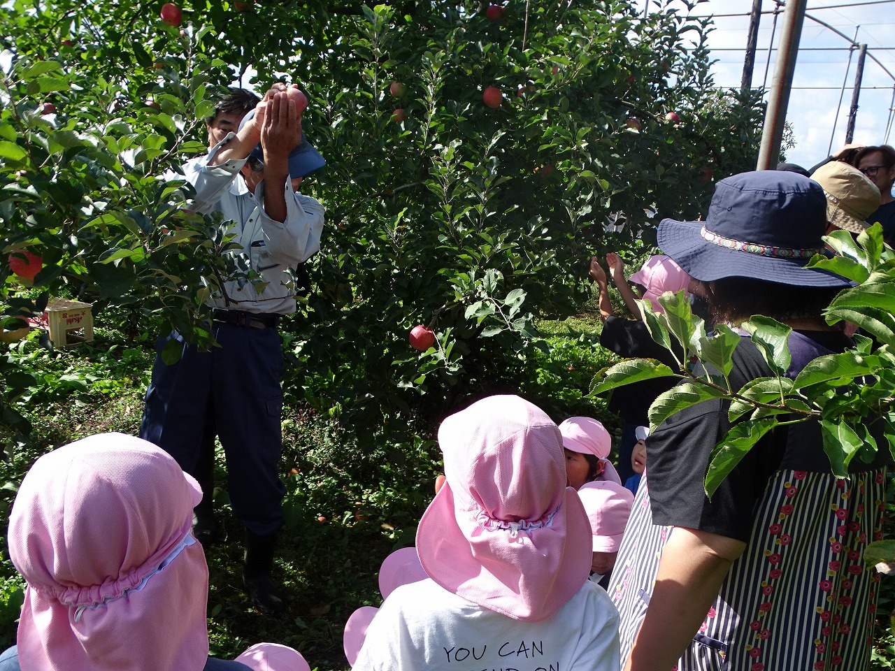リンゴの収穫のやり方を説明する先生