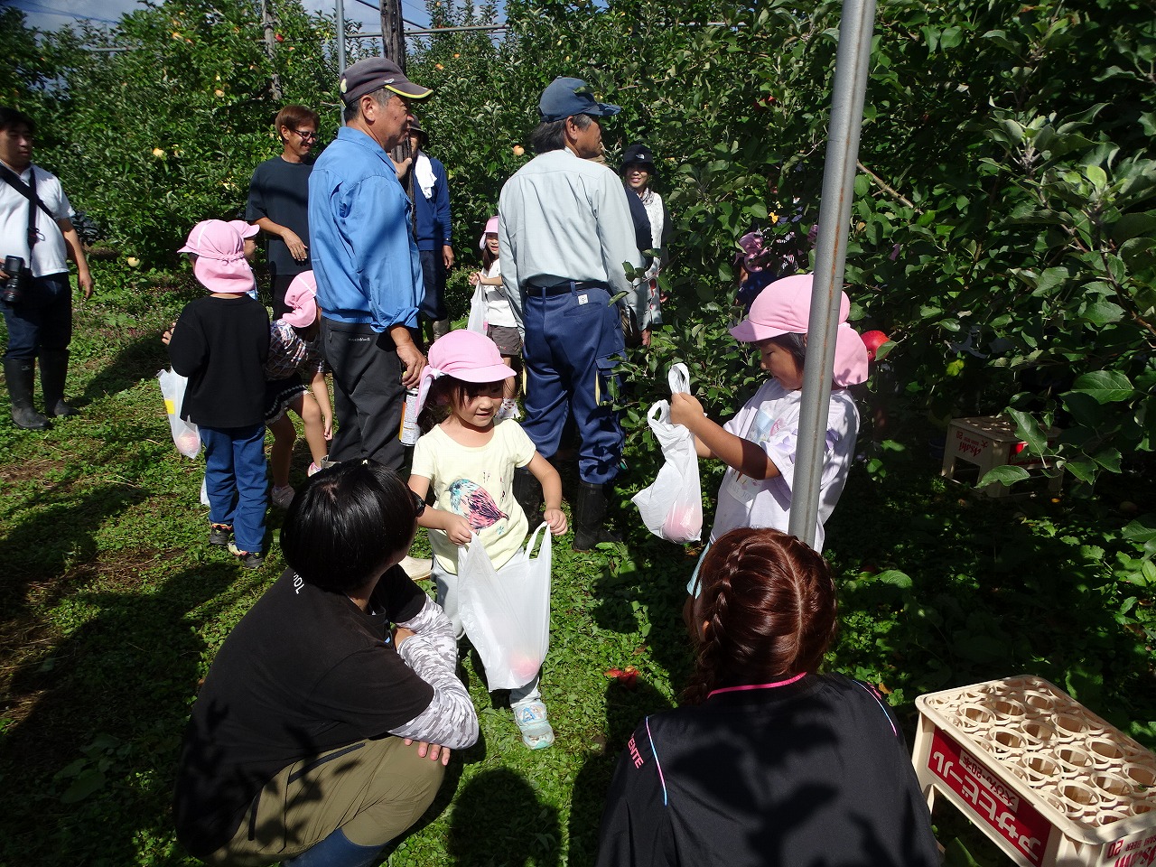 収穫したリンゴを研修生に見せる園児