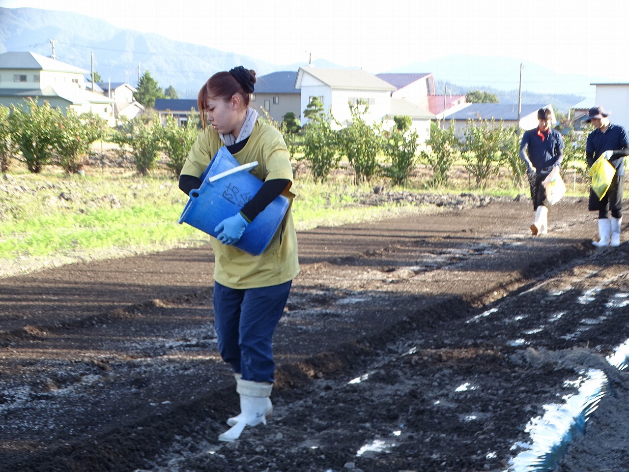 肥料をまく研修生