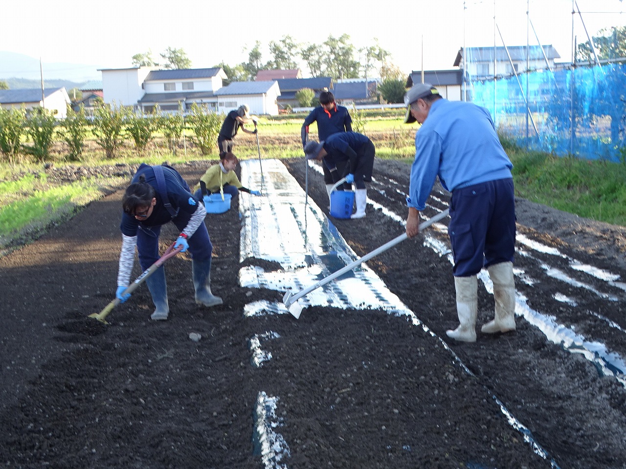 役割分担をしながら同時並行で植付けを行う研修生