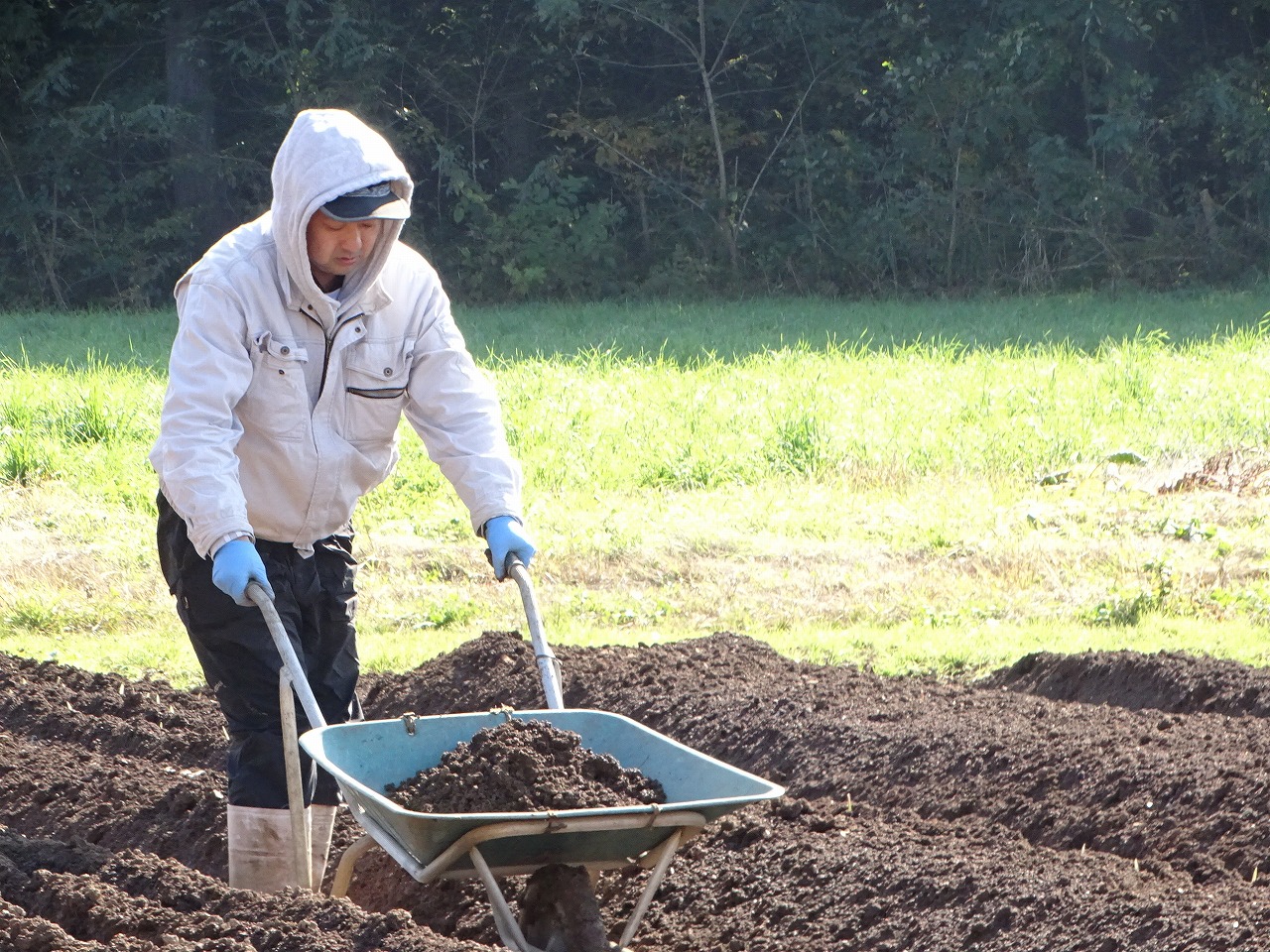 ほ場の整備をする研修生