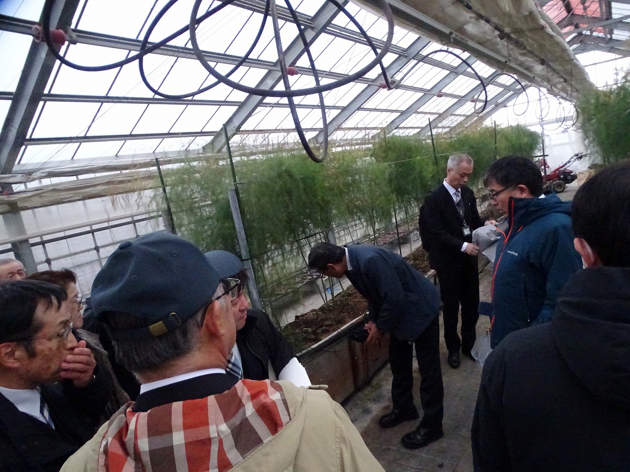 アスパラの高畝栽培を視察する様子