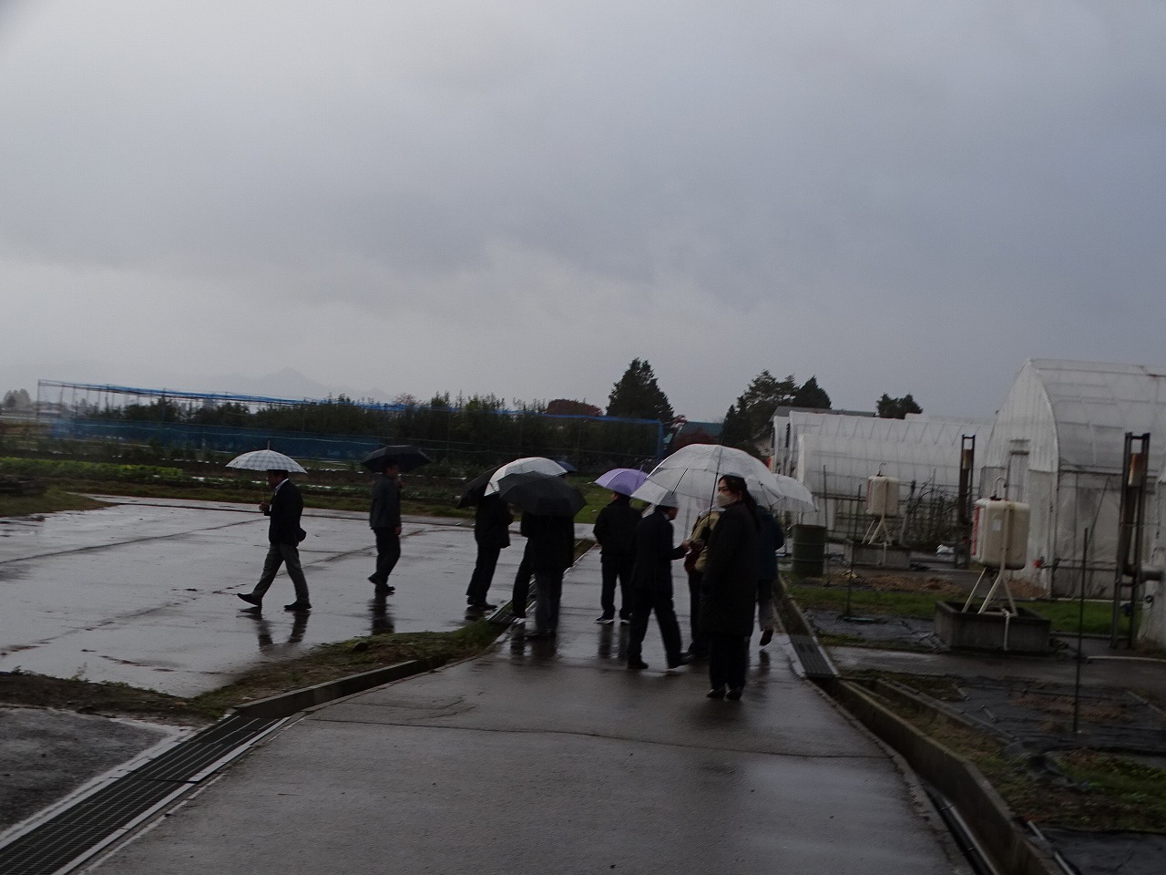 ほ場視察をする様子