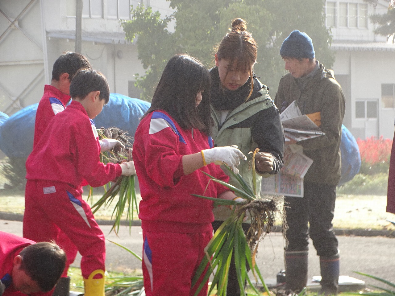 児童の収穫の手伝いをする研修生