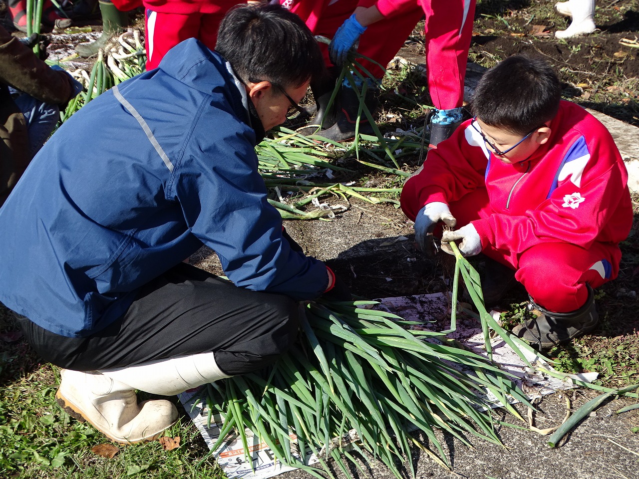 児童と一緒にネギの皮むきをする研修生