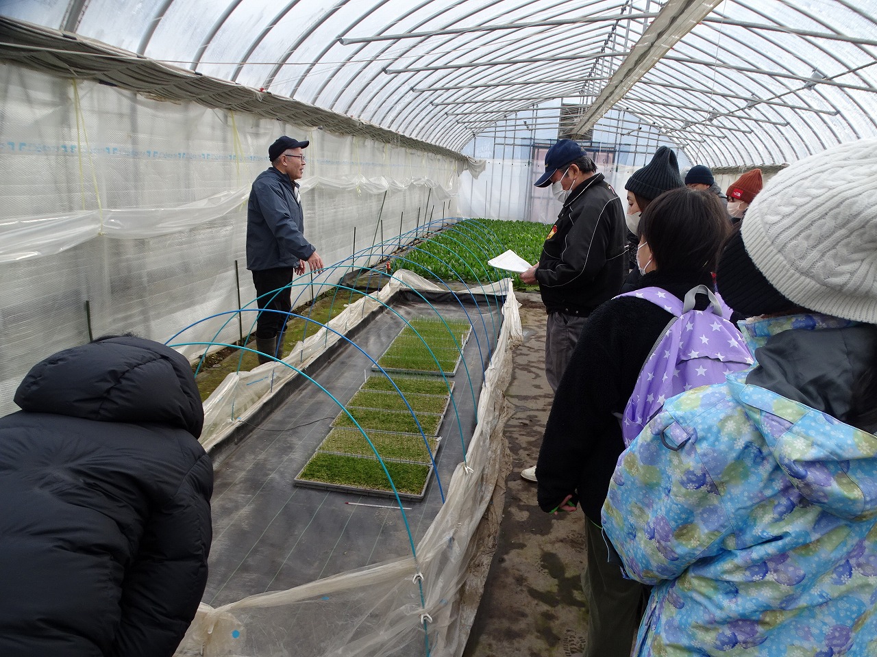 研修指導員の先生から作物の説明を聞く親子たち