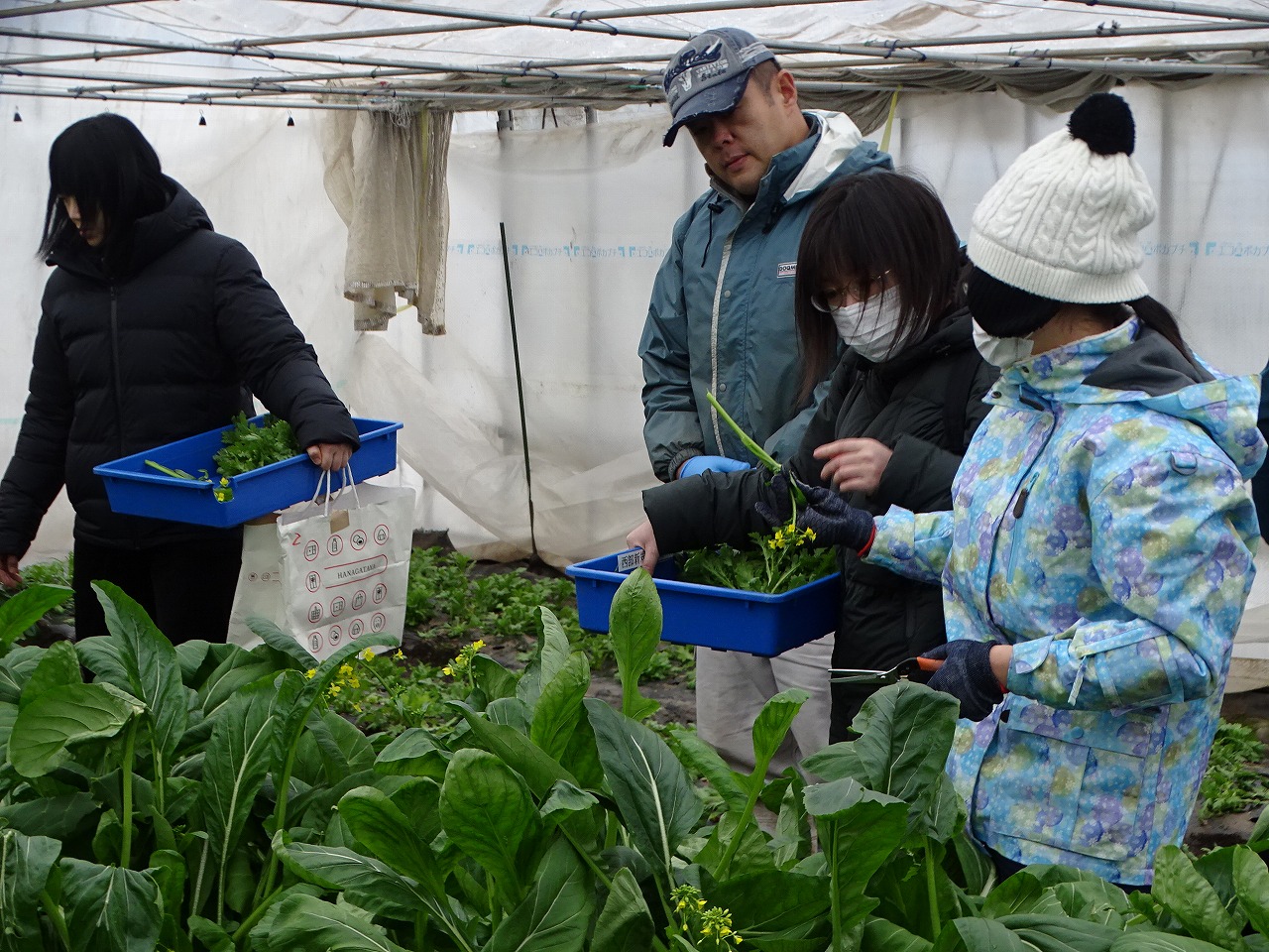 親子に作物の説明をする研修生