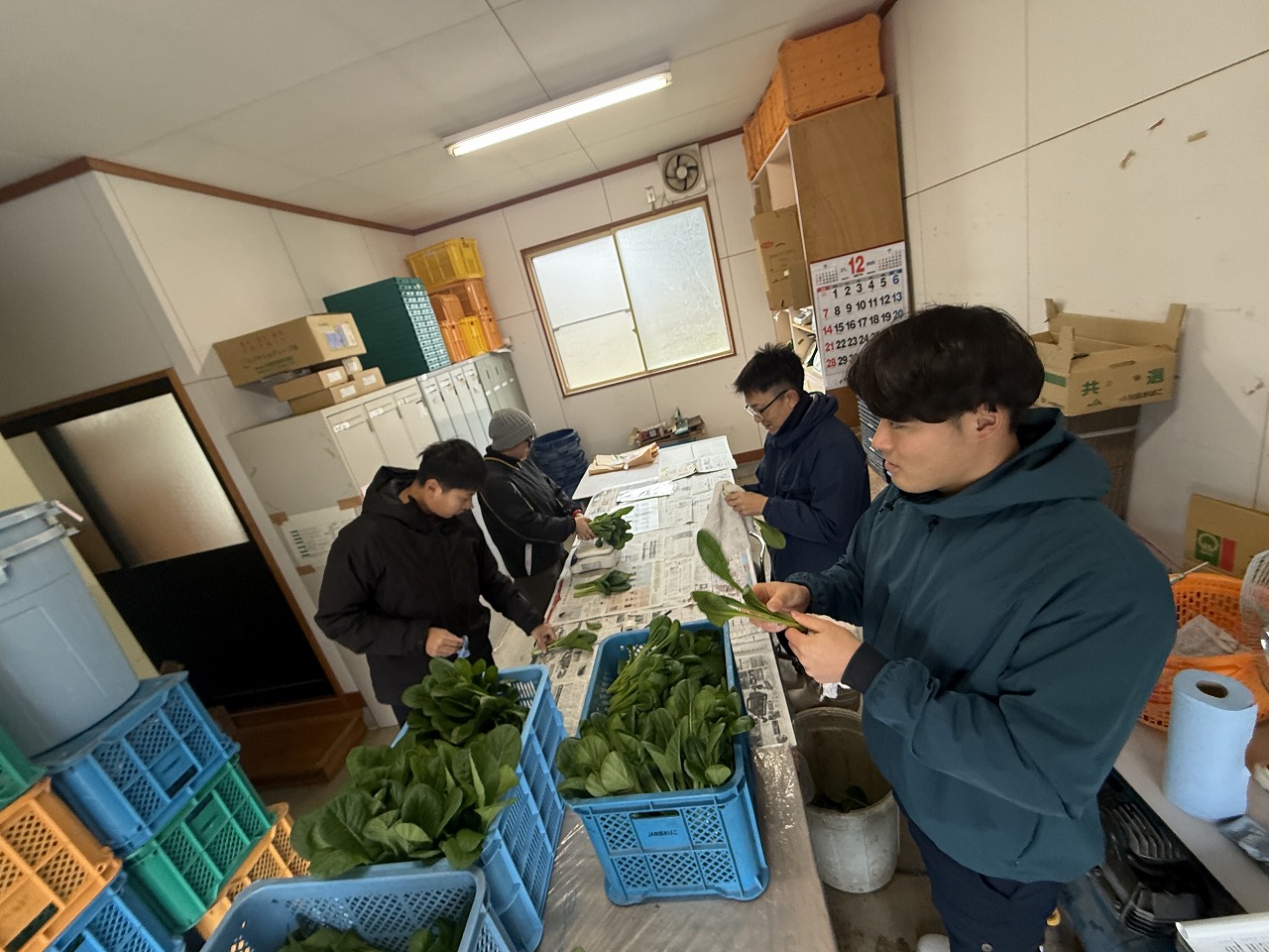 役割分担をしながら出荷準備をする研修生たち