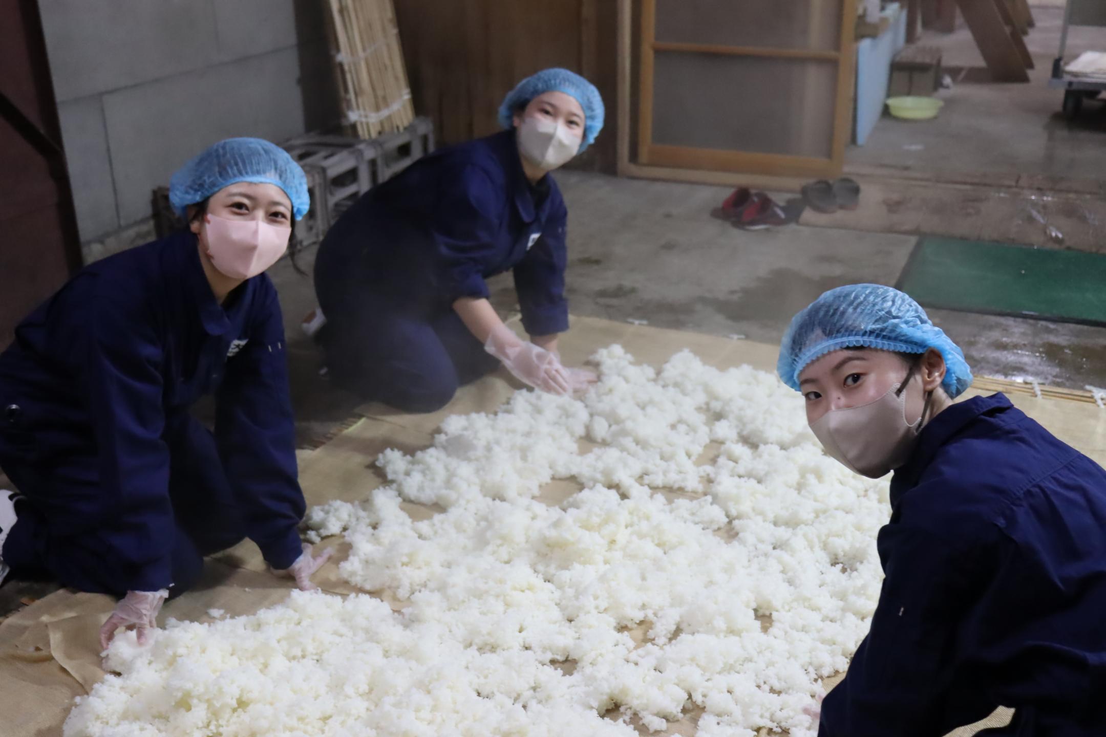 サムネイル:大仙酒蔵統一コレクション「宵の星々」Sake making 2026（YouTubeへ移動します）