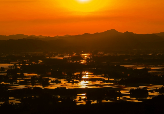 仙北平野の水田に写る夕焼け