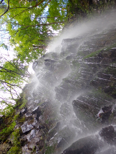 夏の日差しと滝を真下から撮影