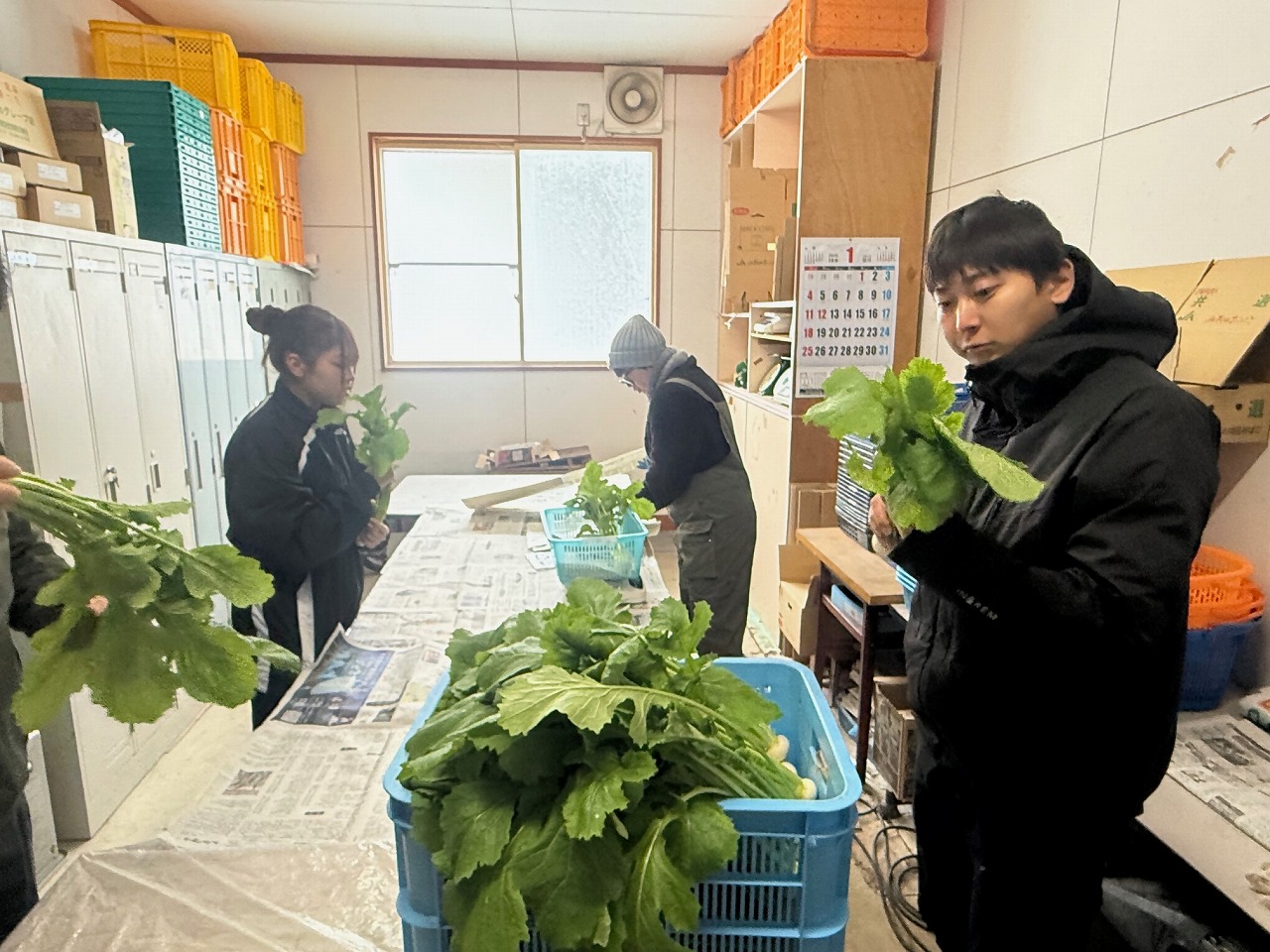 カブの販売調整をする研修生