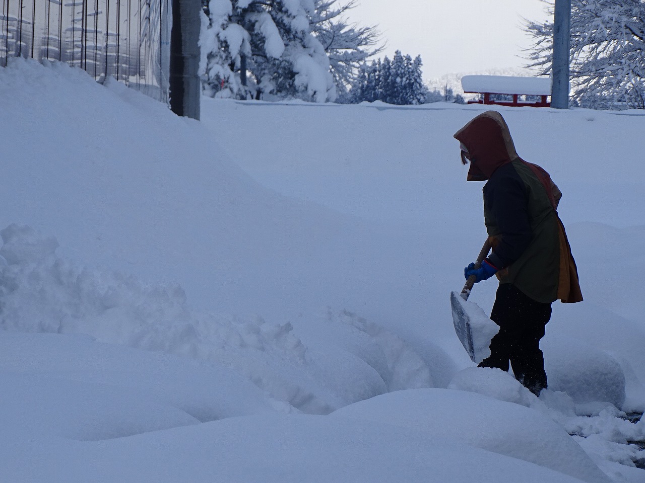 地道に雪よせをする研修生