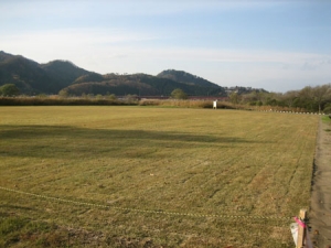 大仙市雄物川河川緑地運動公園多目的広場敷の天然芝生